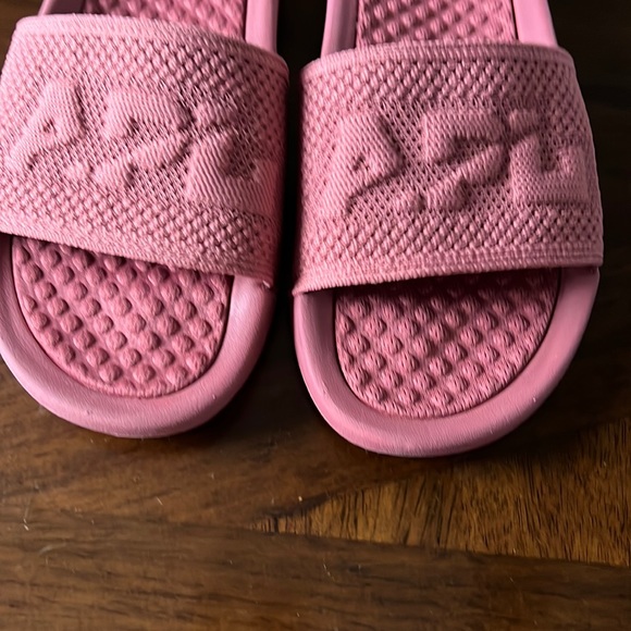 APL BIG LOGO TECHLOOM SLIDE - Picture 3 of 6